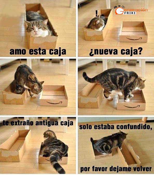 827) 16-01-15 gato-confuso-Humor