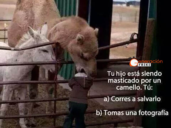 844) 03-02-15 hijo-masticado-camello-Humor
