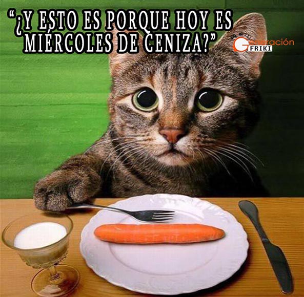 855) 18-02-15 gato-ojazos-miercoles-ceniza-Humor