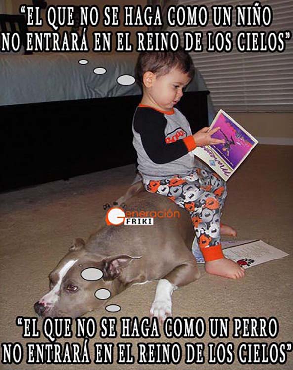 856) 18-02-15 bebe-perro-Reino-Cielos-Humor