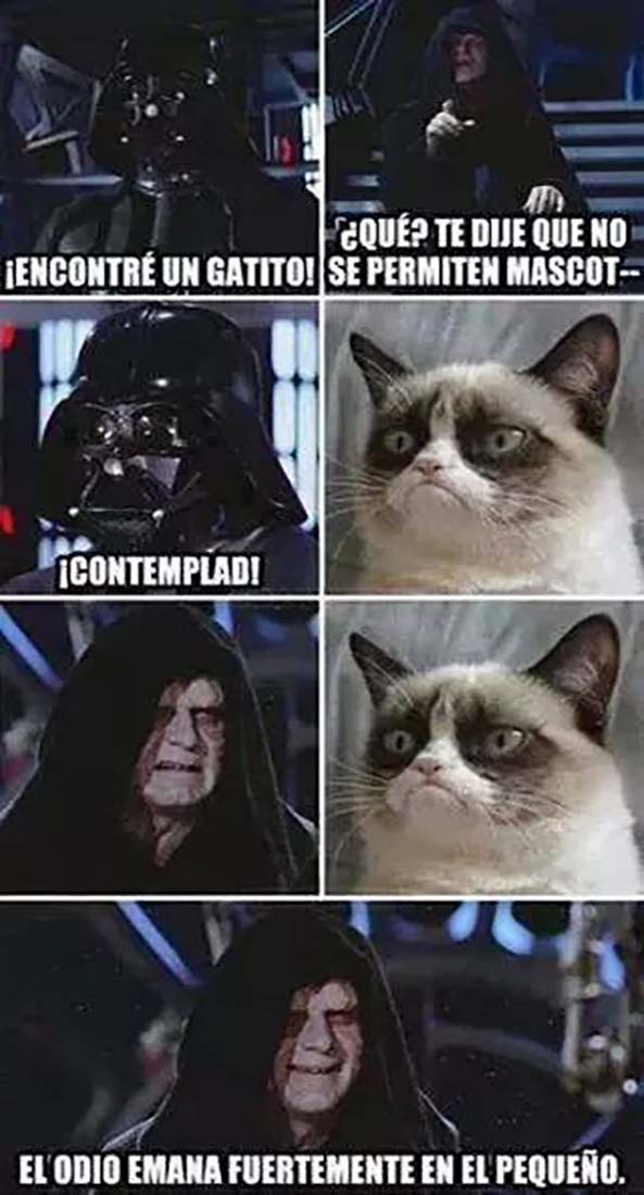 11-Imagenes-graciosas-y-divertidas-XXXIII-Star-Wars