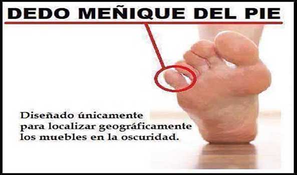 1093) 08-10-15 Dedo-menique-Humor