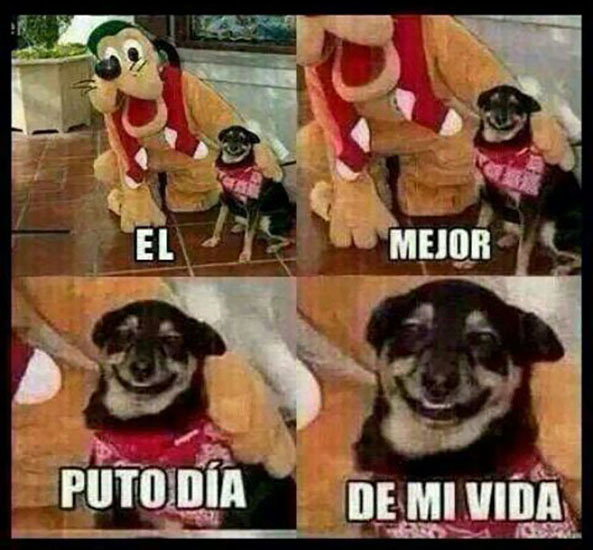 1098) 16-10-15 mejor-dia-vida-Humor
