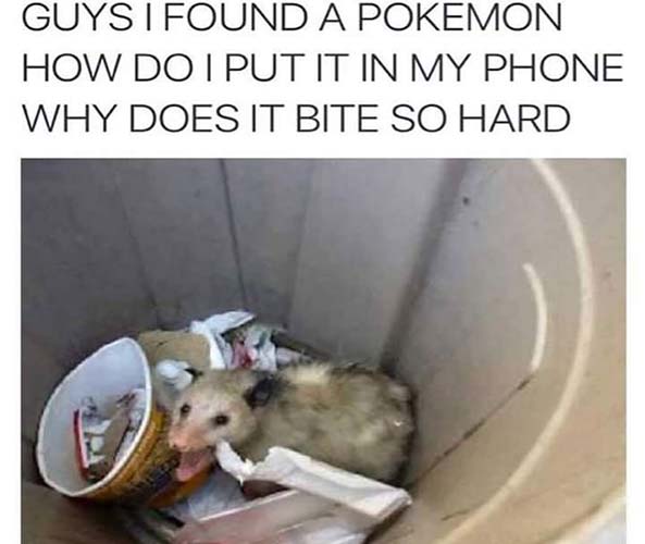 Pokemon-Go-Humor-Generacion-Friki-24